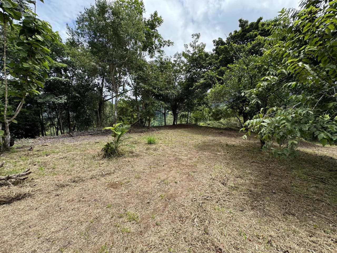 Diamante Waterfall View Land in Dominical 2.9 Acres - photo 31