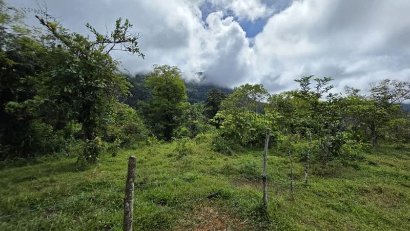 116-Hectare Finca for Sale Near Uvita with Whales Tail Views and 10 Waterfalls | La Faralla, Bahia Ballena, Uvita, Puntarenas, Costa Rica - photo 29