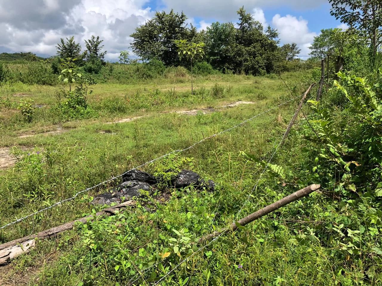 Development property for sale, Building project opportunity close to Liberia Airport and City with beautiful Flat property