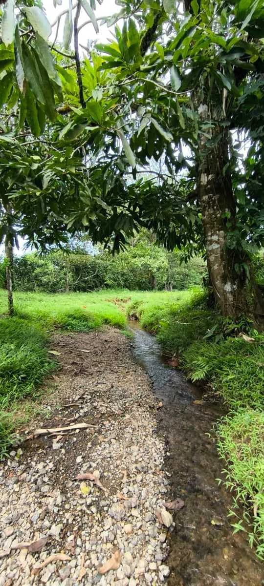23 Acres of Paradise at Bahia Drake - photo 19