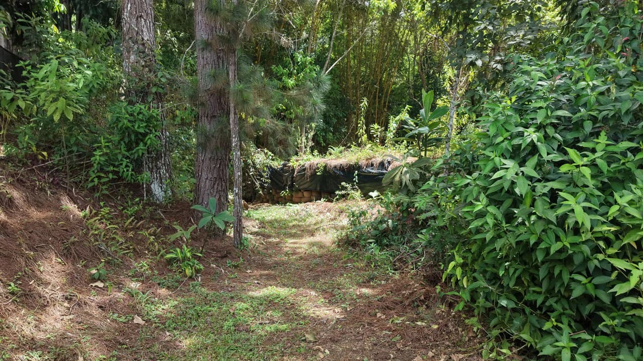 Mountain Home Construction Site For Sale in San Rafael Norte - photo 7