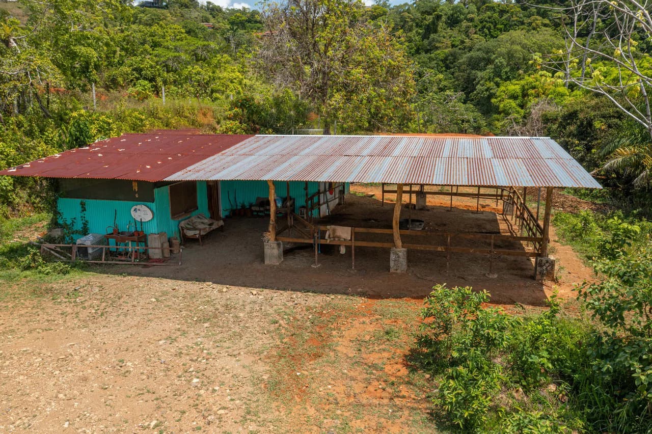 Mountain Mixed Use Building For Sale in Savegre - photo 14