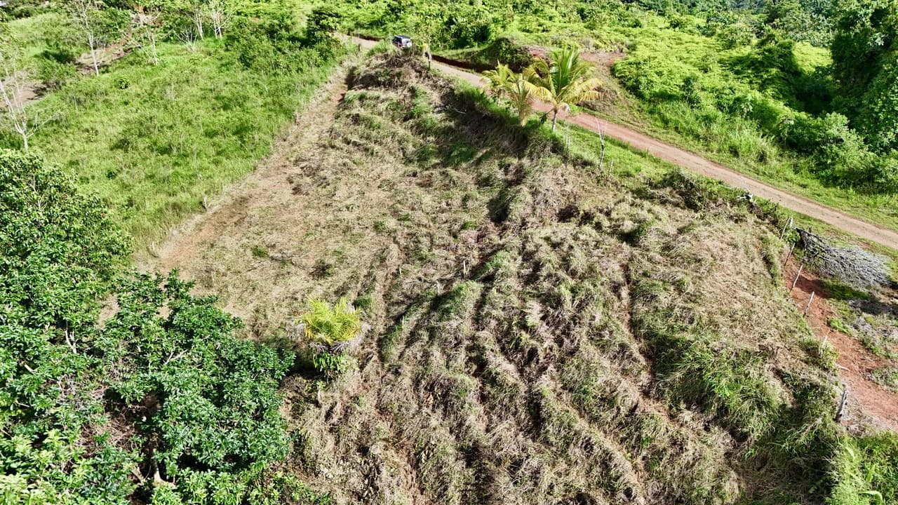 Off-Grid Ocean View Lot | 1.7 Acres in Las Nubes Matapalo Hills - photo 13
