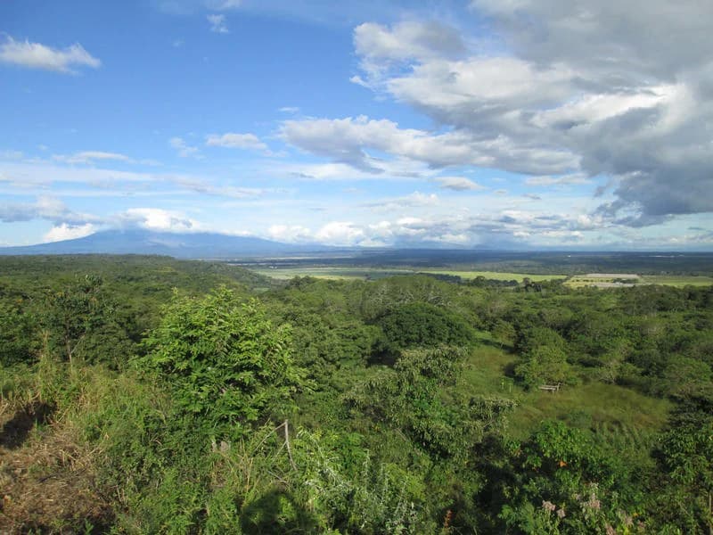 Near the Coast, Oceanfront and Riverfront Agricultural Land For Sale in Papagayo Gulf - photo 4