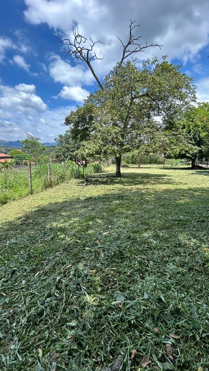 Calas Mixed Uso: 2,000 m2 Lot for Apts, Commercial or Bodegas! - photo 5