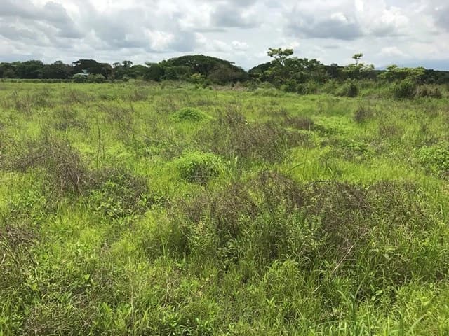 Commercial Development Land for Sale in Guanacaste, Costa Rica - photo 5