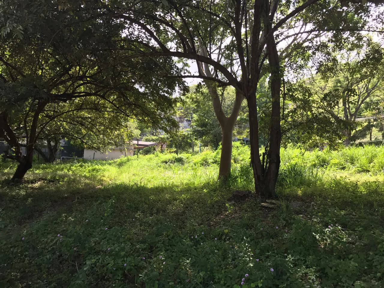 Commercial Property for Sale Located in Playa Hermosa, Guanacaste - photo 7