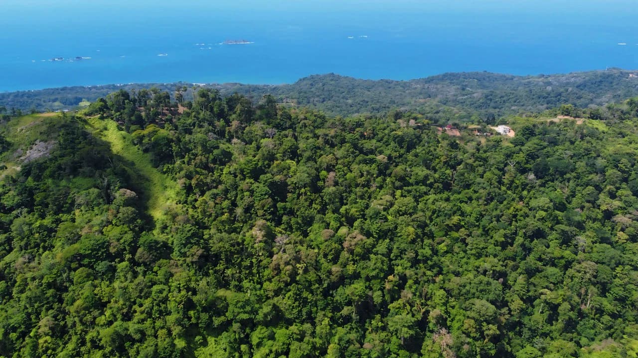 FINCA CERRO DEL TIGRE! OVER 20 ACRES OF PRIMARY FOREST AND WATERFALLS.: Mountain Agricultural Land For Sale in La Unión - photo 8