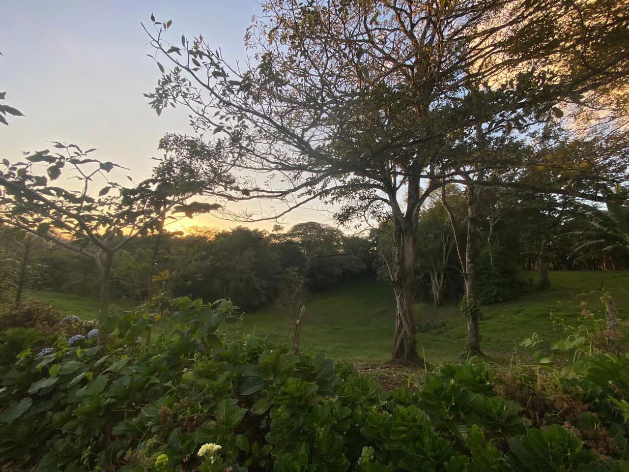 Lake Arenal Area - Sabalito - Great Location - Fantastic Price - photo 9