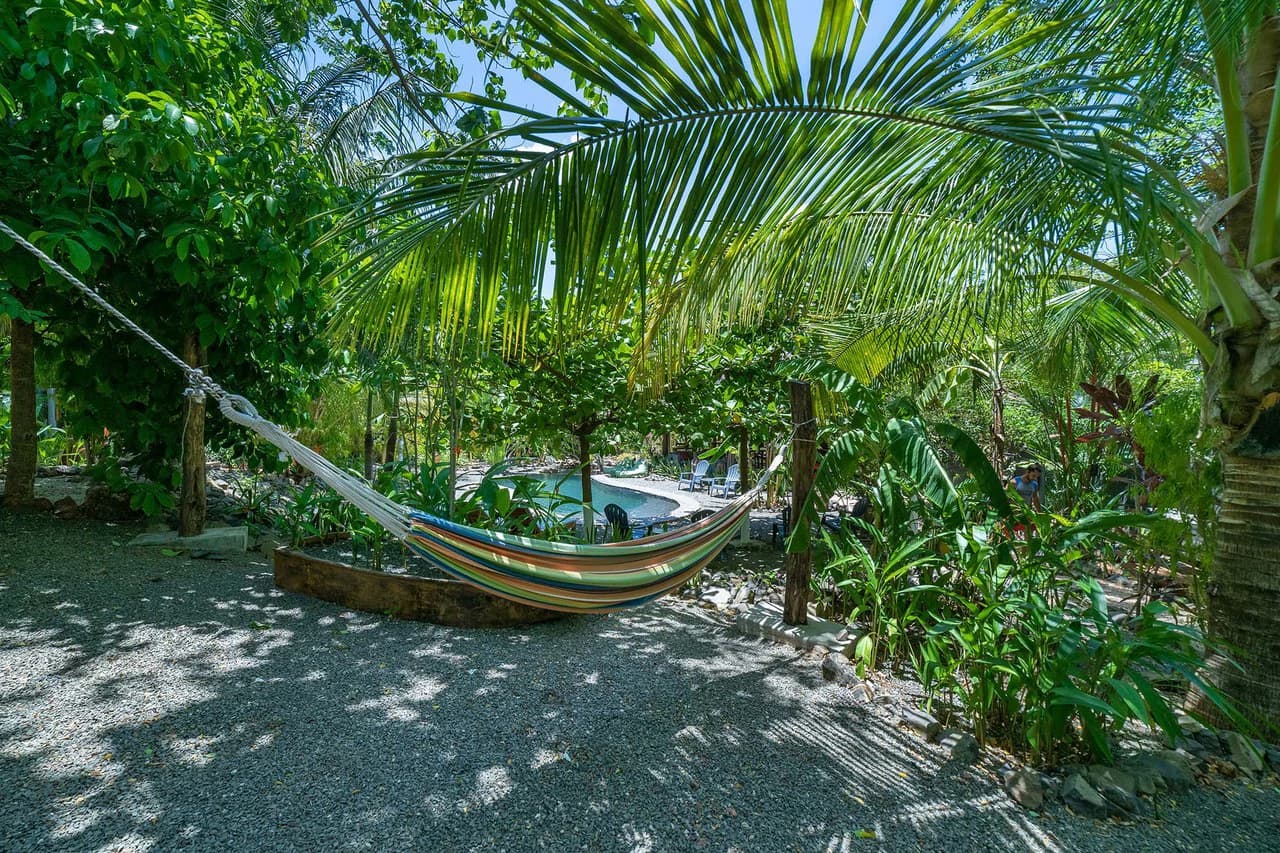 Flor y Bambu Glamping: Unique Glamping Hotel in Playa Grande - True Gem - photo 24