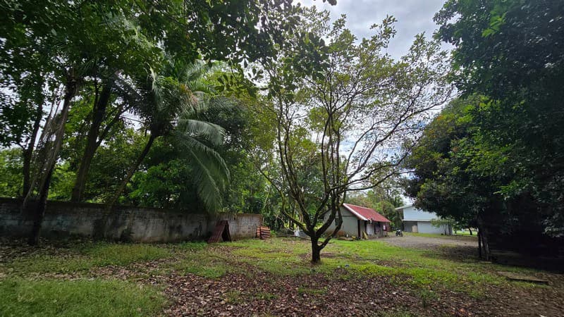 Villa del Mar, one block from the beach in Bejcuo: Fully titled half acre property with 2 level home - photo 78