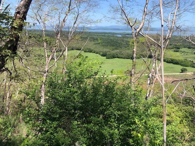 Amazing 50% discount for Huge ocean-view farm for sale surrounded by soft rolling hills and pristine nature - photo 2