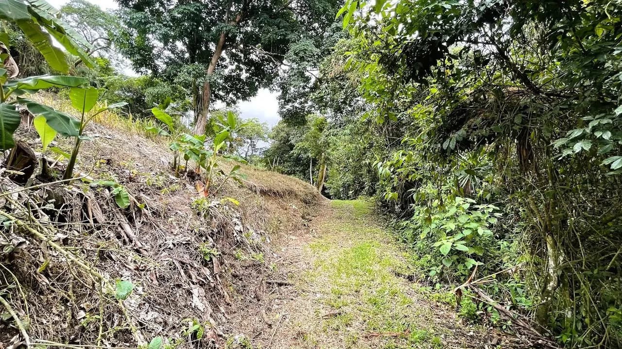 LAND FOR SALE IN SAN MIGUEL, NARANJO - photo 16