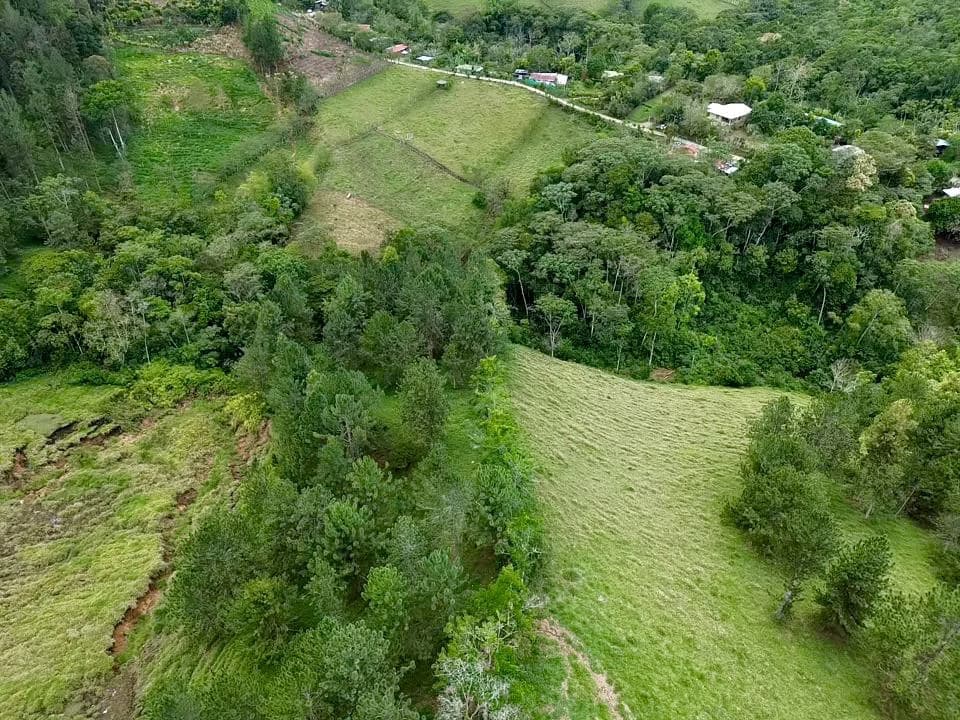 54 Acre Ranch in San Vito, Coto Brus - photo 32