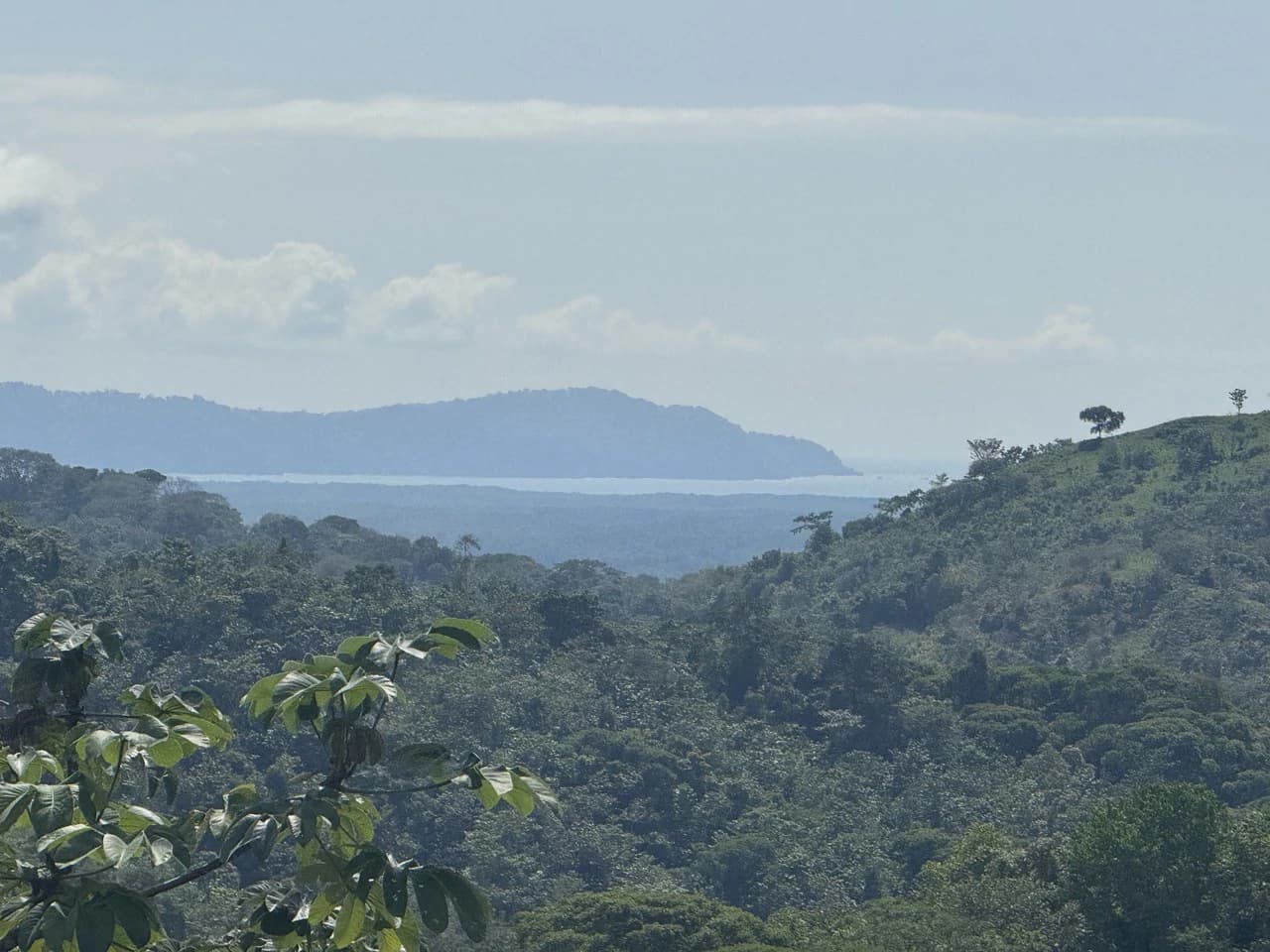 12 Acre Ocean View Farm in a Private Agricultural Community