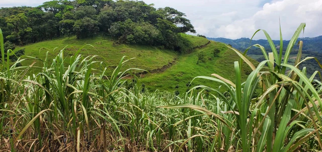 Home Construction Site For Sale in Piedades Norte