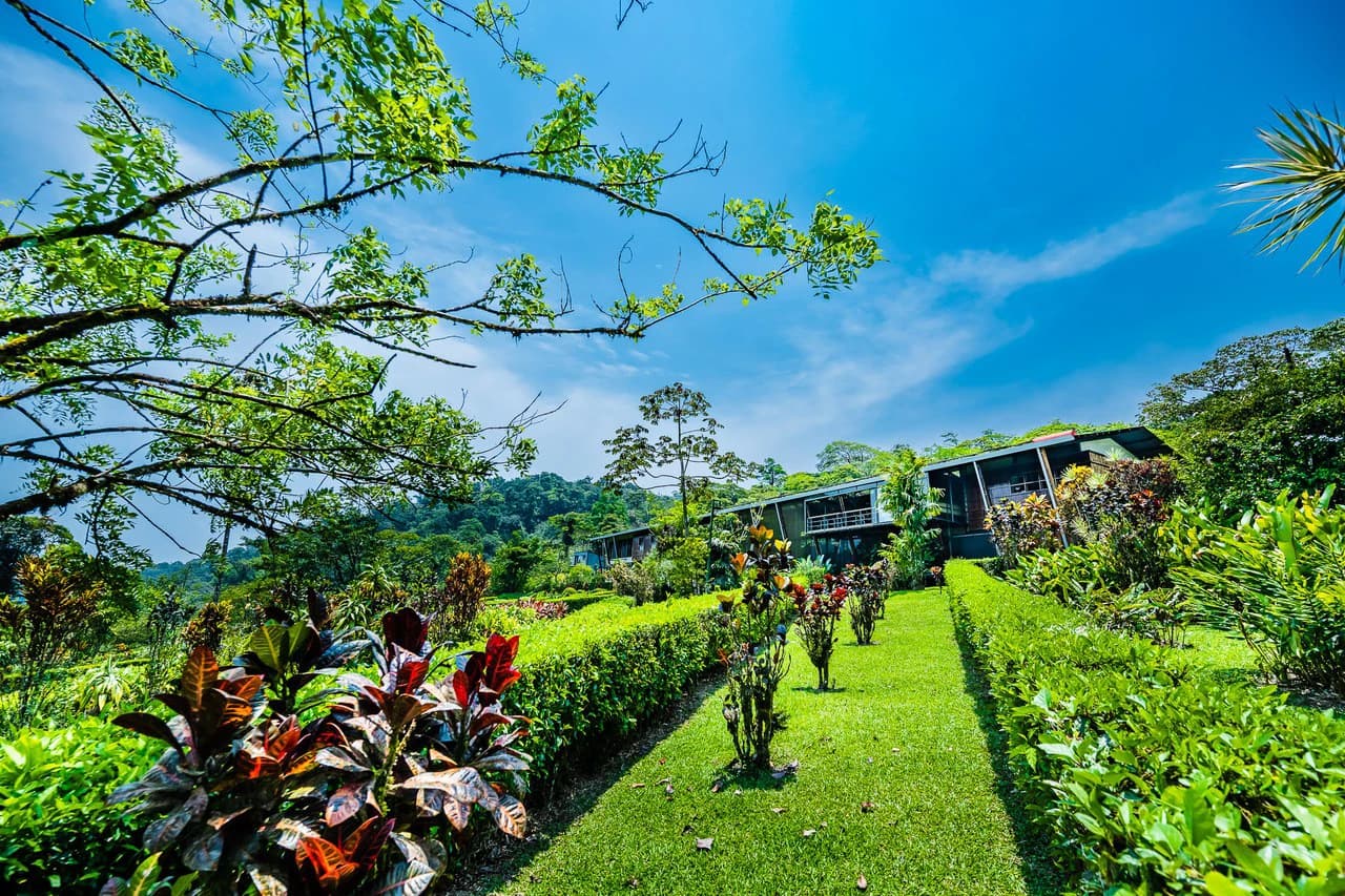 Celeste Mountain Lodge: Mountain Hotel/Resort/Hostel For Sale in Bijagua - photo 60
