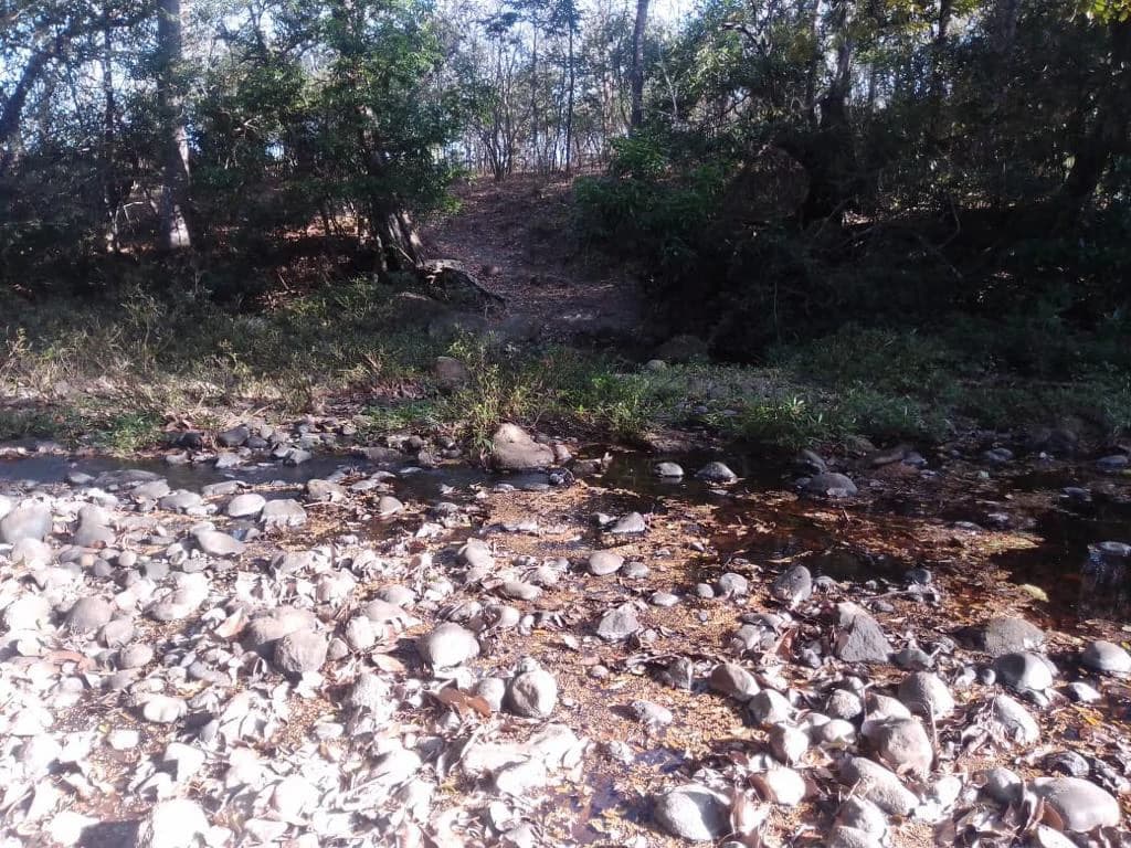 Huge agricultural land for sale near Liberia – excellent investment opportunity with river frontage in Bagaces - photo 5