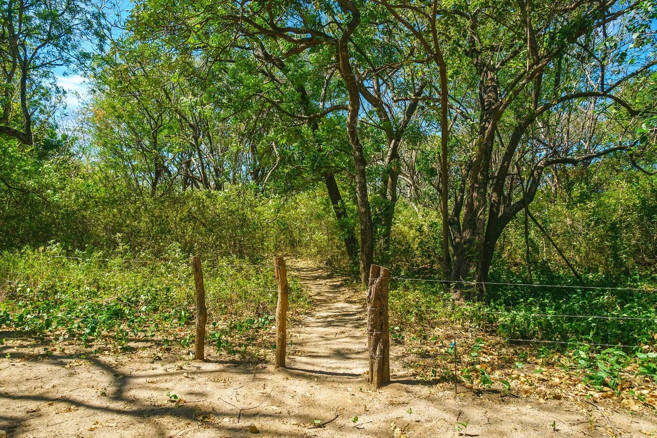 Playa Grande Lot #1: Titled Beachfront Estate Lot Playa Grande - photo 16