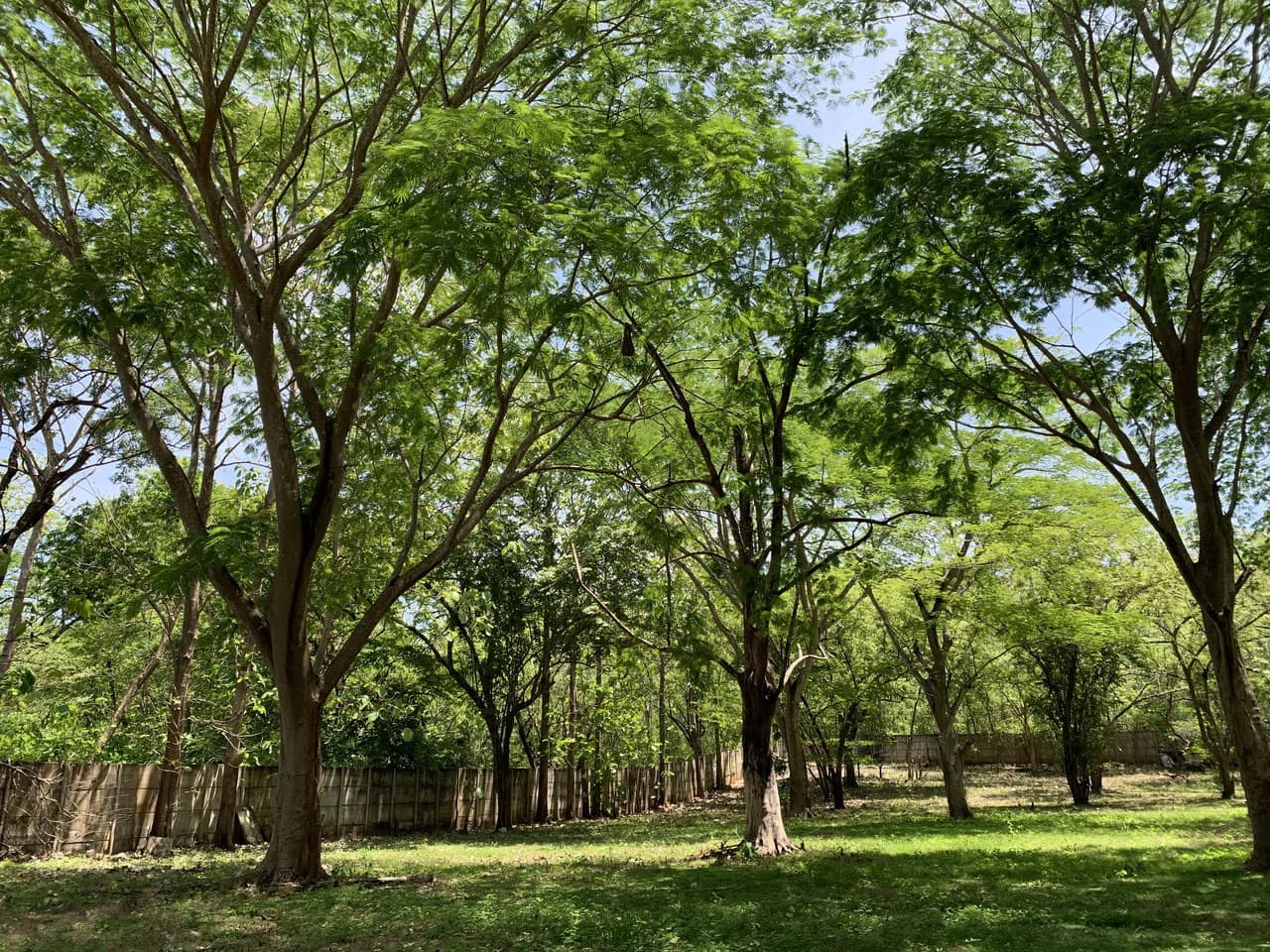 Conchal Bay: Ideal Lot To Build A Hotel Lodge By Conchal Beach - photo 3