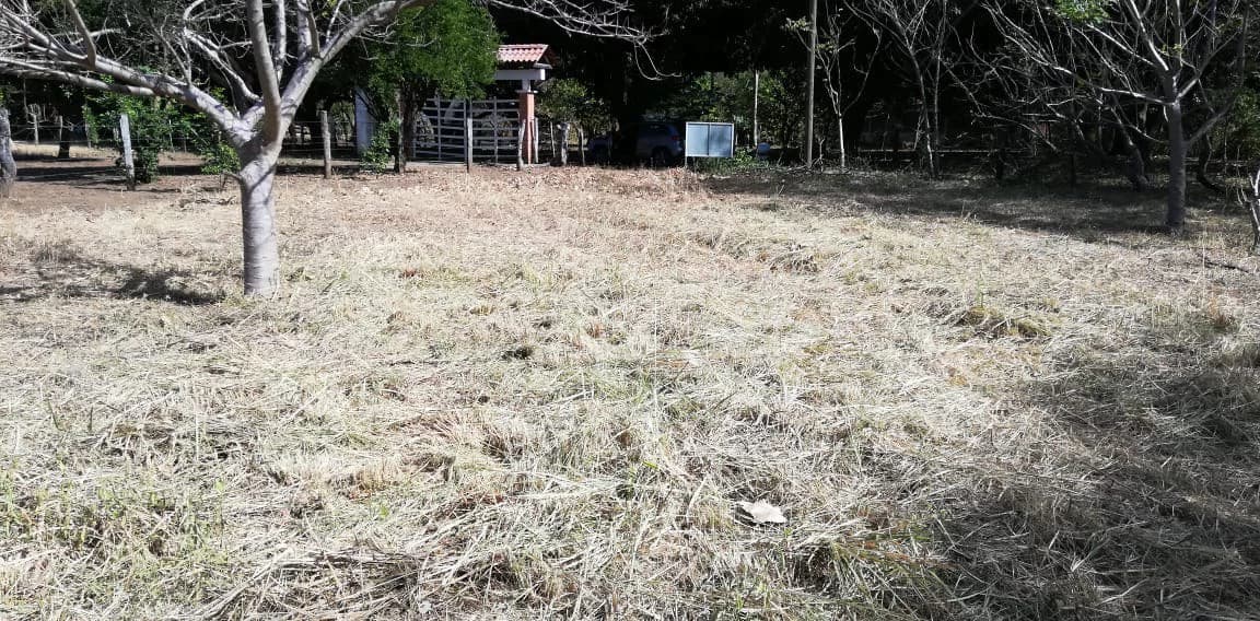 Property in Coco Beach - photo 9