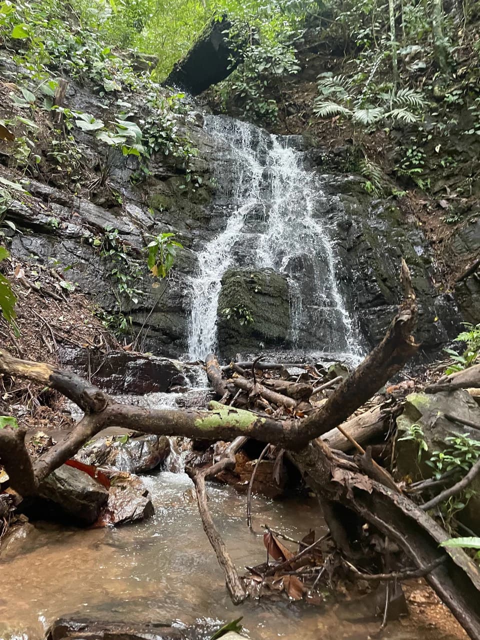 TROPICAL MASTERPIECE – 61.78 ACRES OF OCEANVIEW BLISS WITH WATERFALL: Mountain Development Parcel For Sale in Tres Rios - photo 12