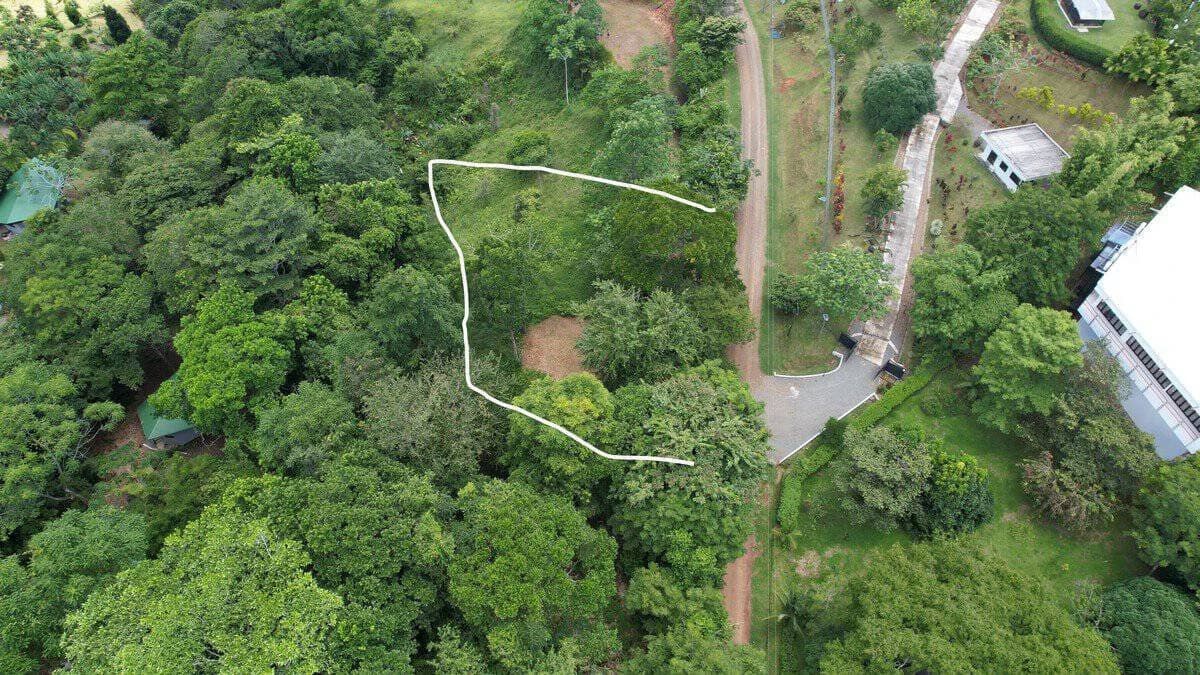0.7 ACRES – Ocean View Lot With Creek Access, Public Road Frontage, All Utilities!!! - photo 6