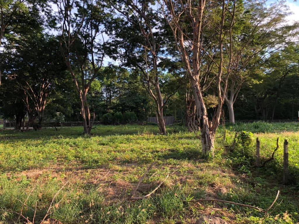Large Commercial Property in Playa Hermosa, Guanacaste, Costa Rica - photo 5