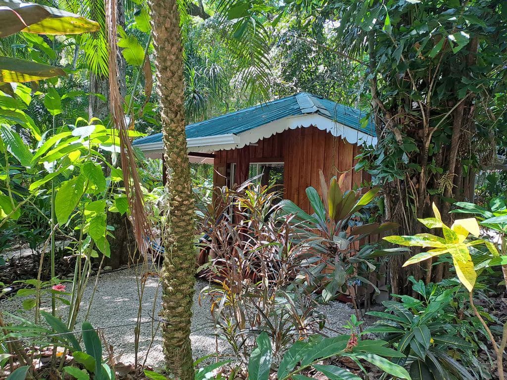 Samara Jungle Boutique Hotel: When Elegant & Romantic Bungalows Seamlessly Blend Into Nature's Bounty. - photo 26