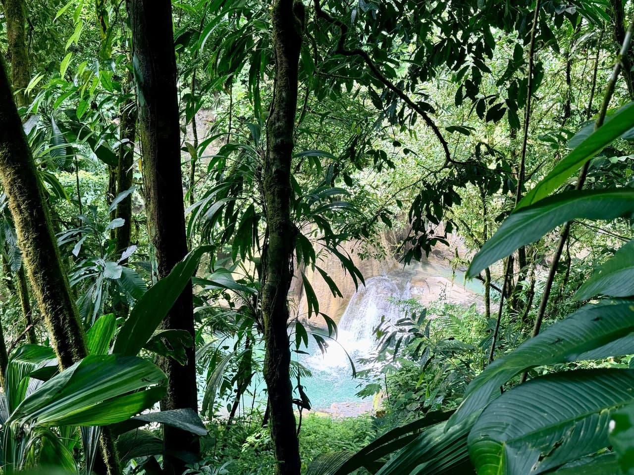 Uvita Development Farm - 40.47 Acres Estate - photo 25