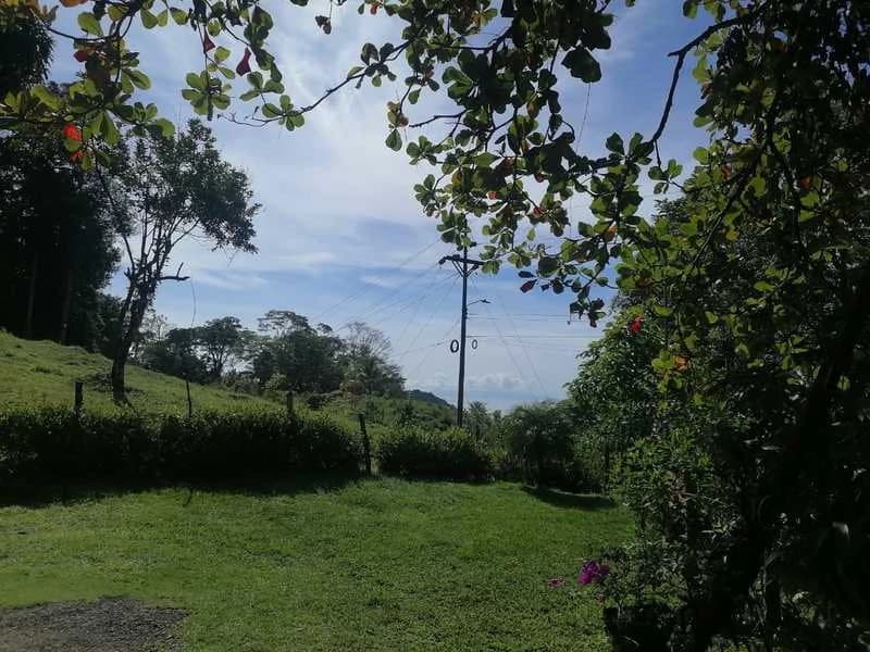 69.16 Acres Property | Mountain & Top Ocean View with Small Home - photo 25