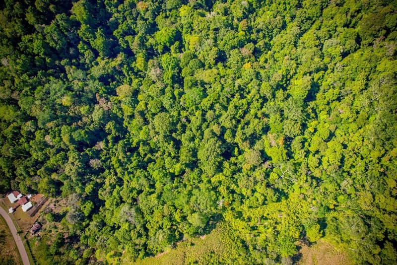Ocean View & Primary forest 55-ha Rincon de Osa - photo 32