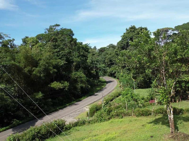 69.16 Acres Property | Mountain & Top Ocean View with Small Home - photo 17