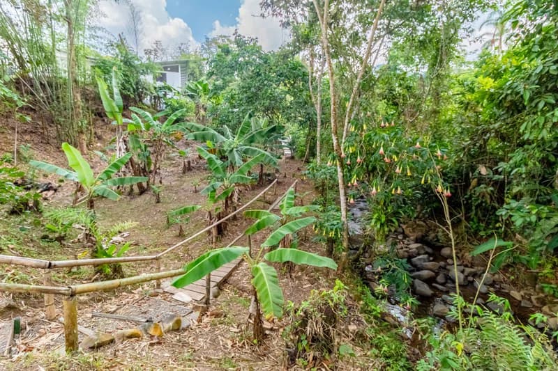 Casa San Pedrito: Beautiful house for sale in San Pedrito,(1,3hect) Perez Zeledon - photo 12