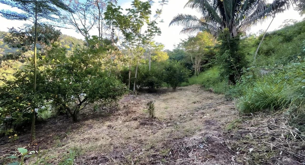 Exclusive Hermosa 1.2 Acre Lot with Panoramic Mountains and Ocean View. - photo 11
