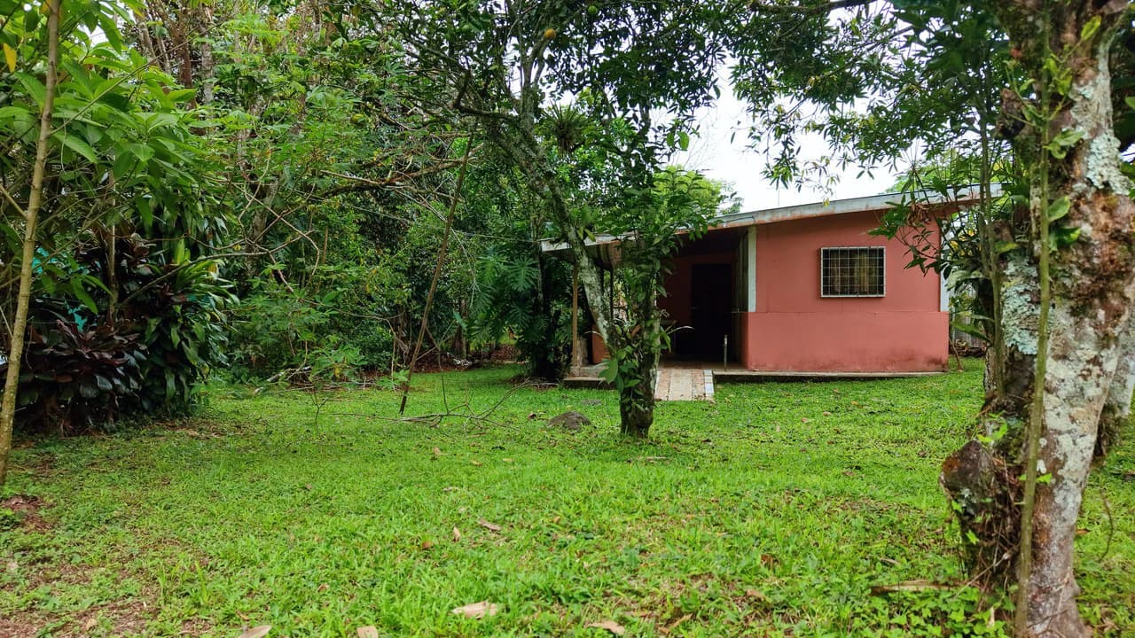 LOTE PLANO CON FRUTALES: Mountain Home Construction Site For Sale in General Viejo - photo 12