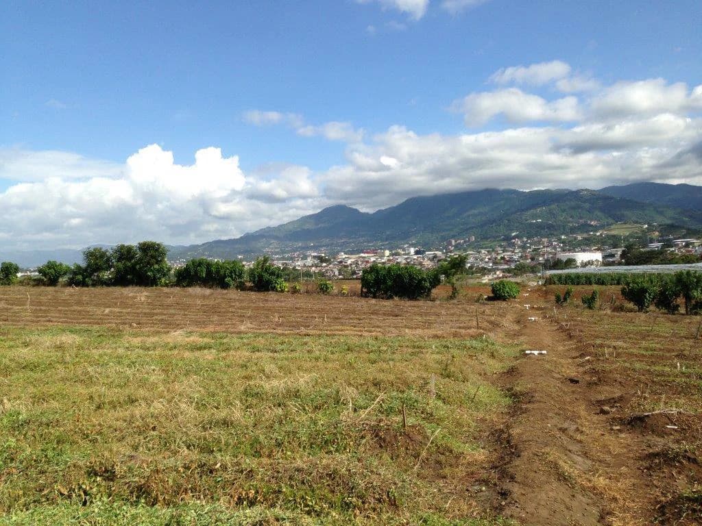 Mountain Agricultural Land For Sale in La Asunción - photo 6