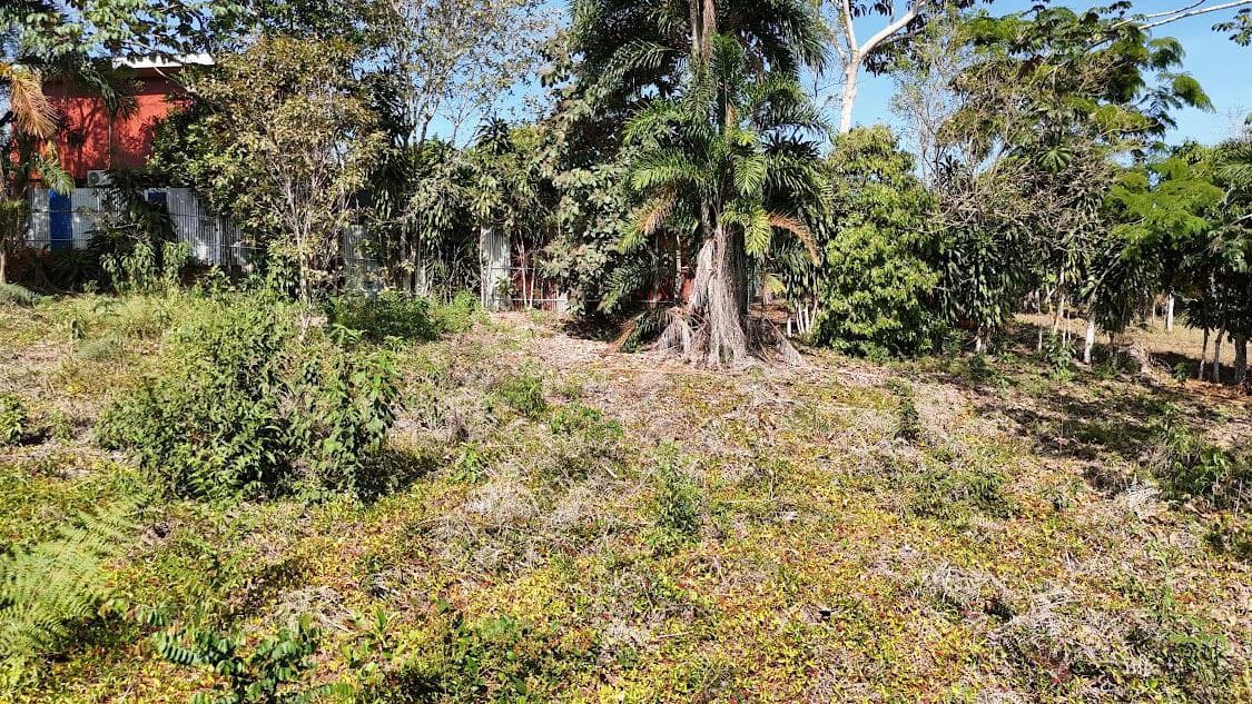 Home Construction Site For Sale in La Ceniza - photo 19