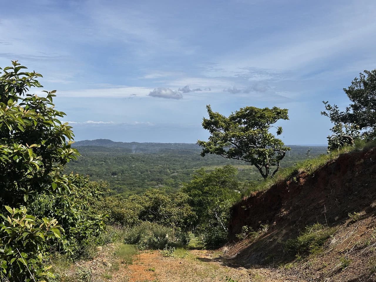Ocean View Lot Negra Beach: Ocean View Hilltop Lot In Negra Beach, Finca Los Pargos - photo 12