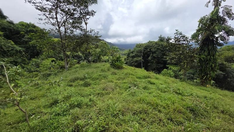 116-Hectare Finca for Sale Near Uvita with Whales Tail Views and 10 Waterfalls | La Faralla, Bahia Ballena, Uvita, Puntarenas, Costa Rica - photo 42