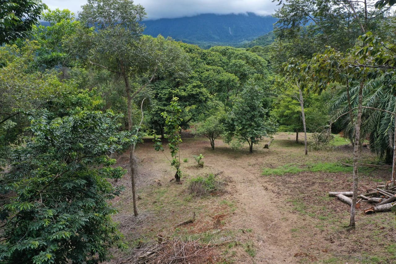 Diamante Waterfall View Land in Dominical 2.9 Acres - photo 7