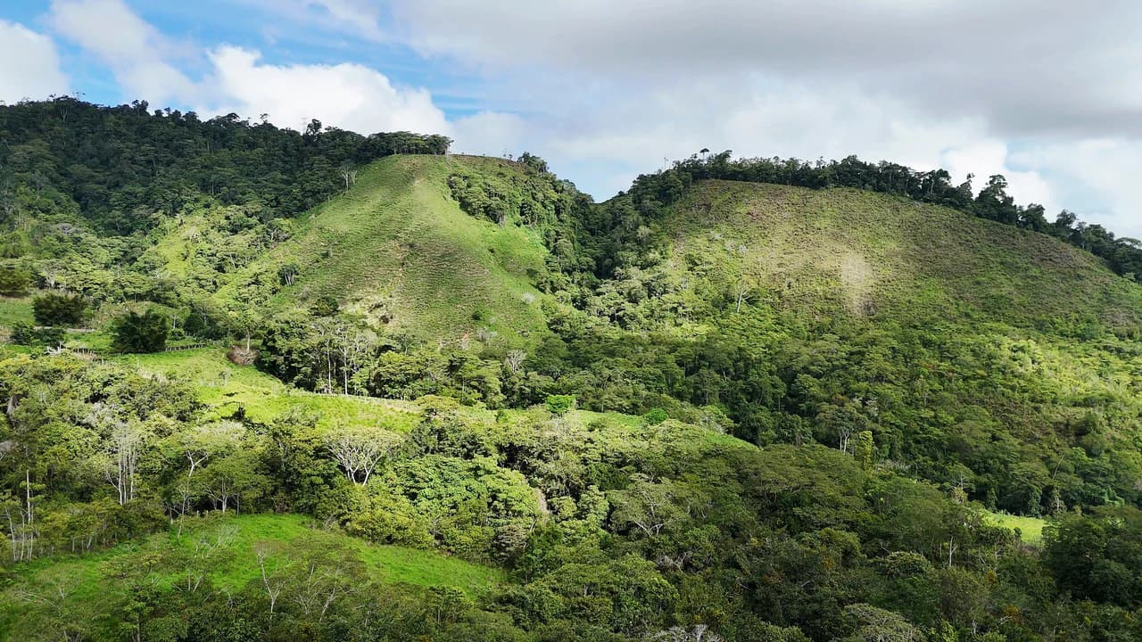 Mountain Agricultural Land For Sale in San Isidro del General - photo 15