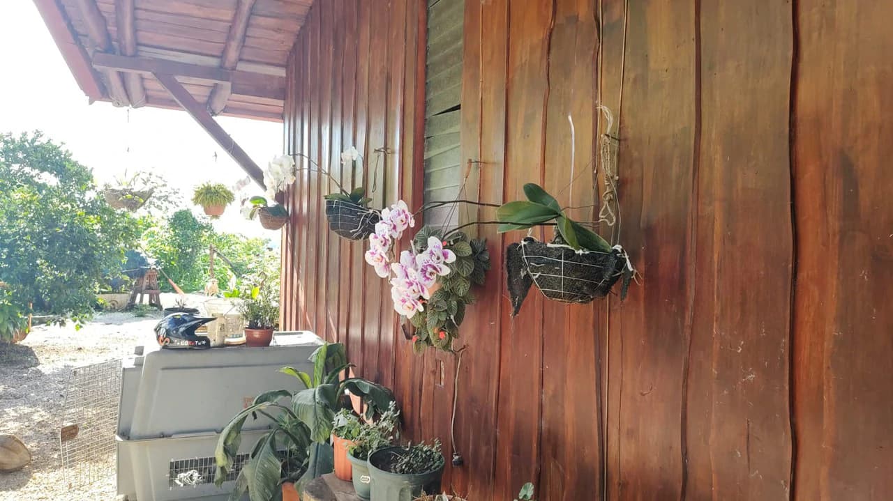 Agricultural Farm for Sale in the mountains of Hojancha, Beautiful 25-acre property with floating lake Apartment and Huge main home - photo 24