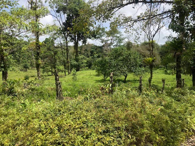 Hot and Cold Thermal Springs for Sale – Beautiful Property in Dos Ríos, Alajuela with Excellent Commercial Potential - photo 65