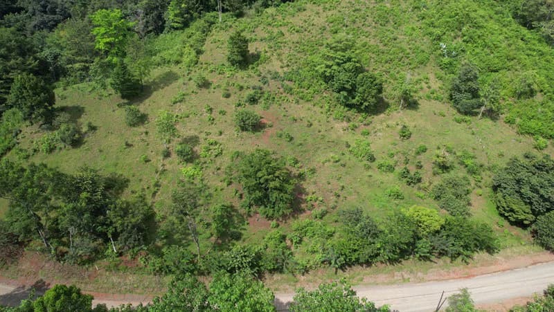 Ocean View & Primary forest 55-ha Rincon de Osa - photo 9