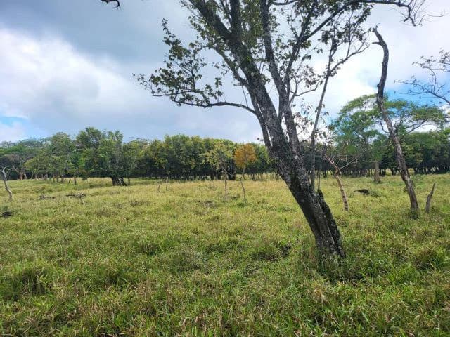Charming property for sale in Nueva Guatemala with stunning views of the Tenorio Volcano and the beautiful green valleys - photo 9