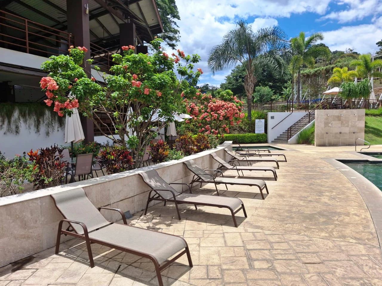 Urgent - Fire Sale!: Modern Home in Gated Montezuma - photo 15