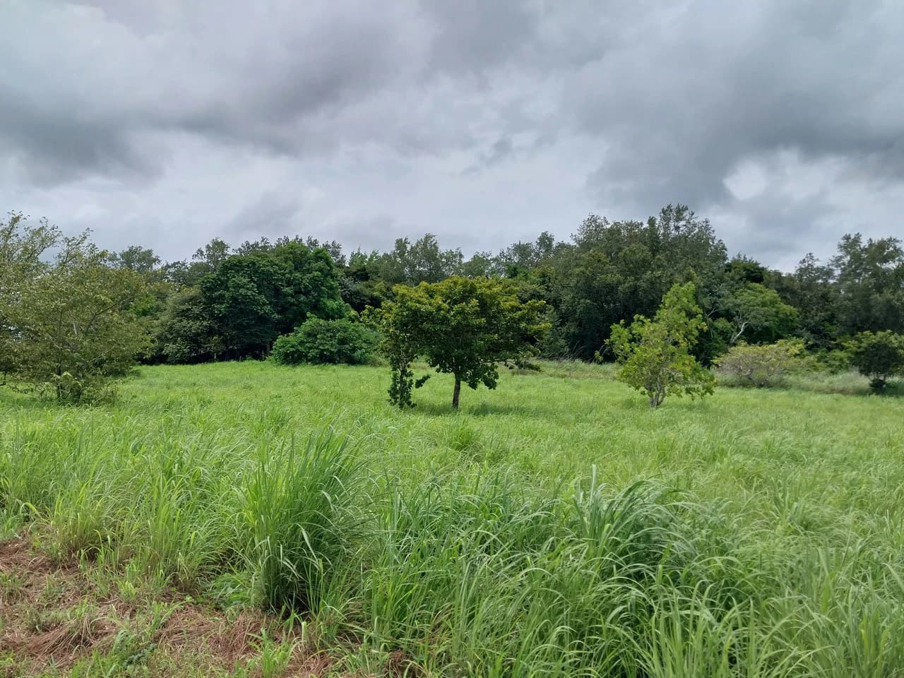T-182: Volcano view and lot for Sale in Liberia