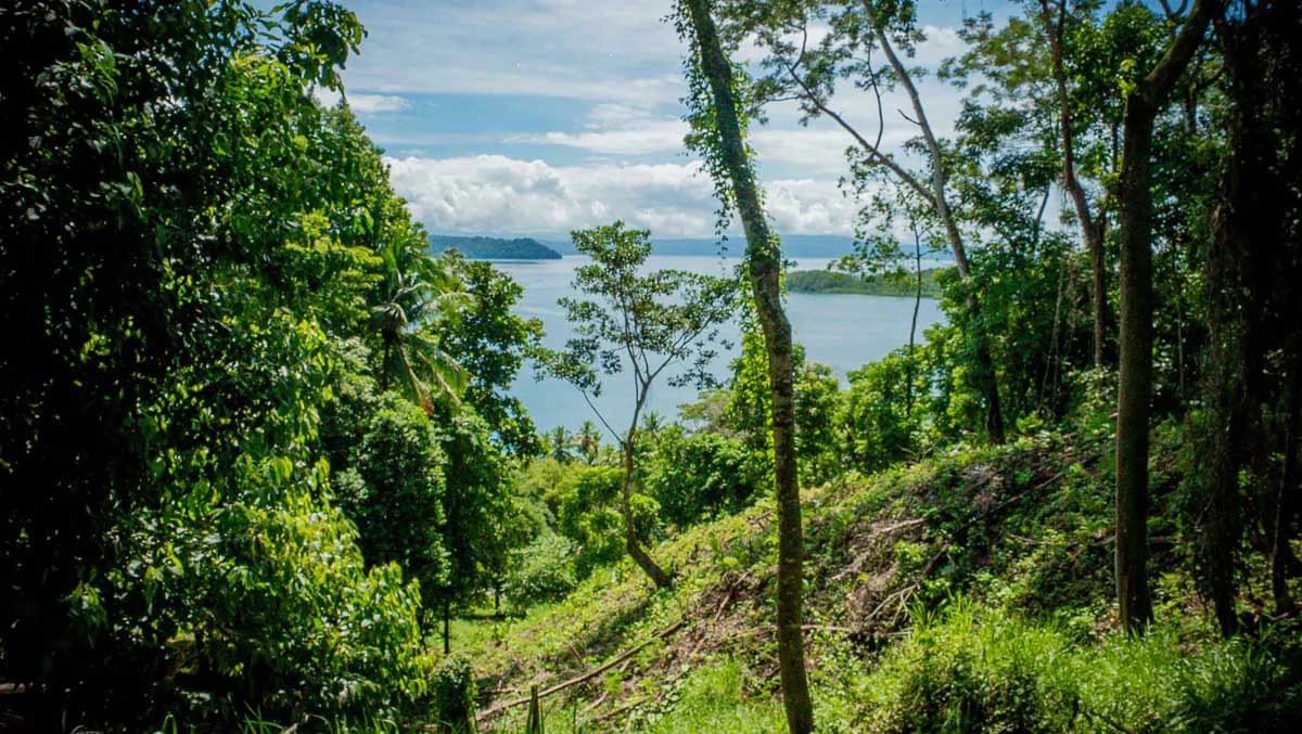 Rincon Mountain Land Gulf View | A Breathtaking Landscapes of Rincon - photo 20