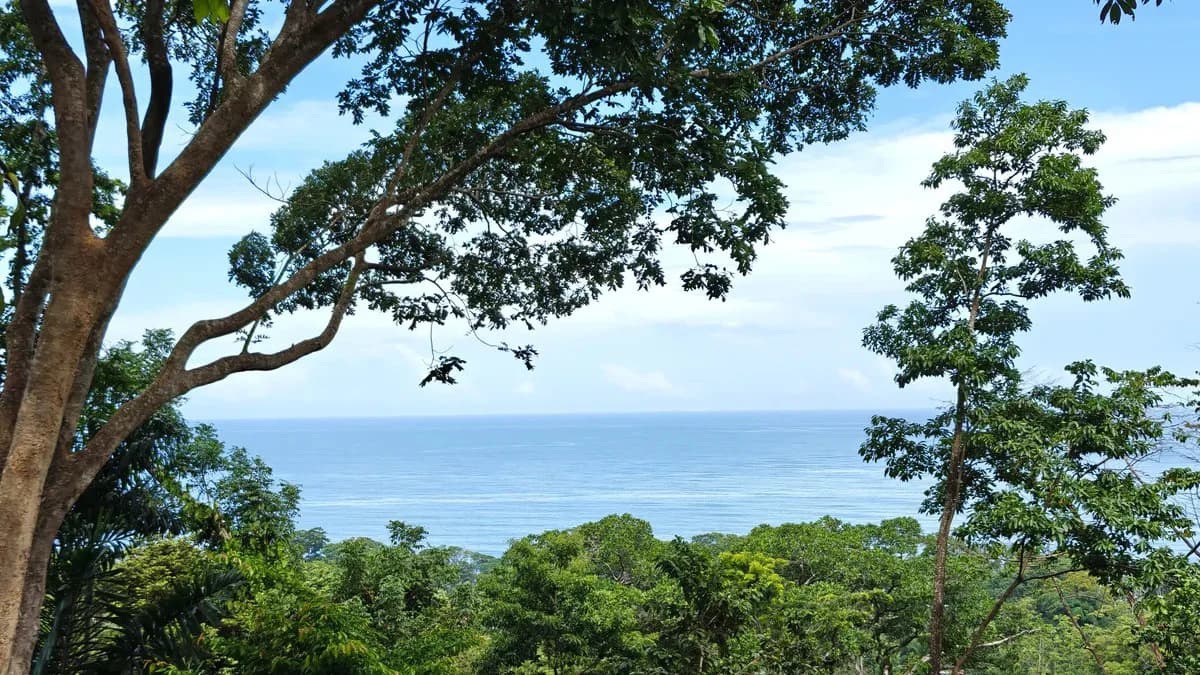 ID 345: 6,763m² Ocean View Development Land for Sale in Puerto Viejo - photo 4